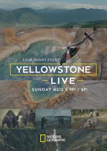 Yellowstone Live