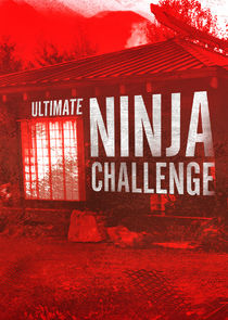 Ultimate Ninja Challenge small logo