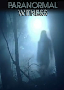 Paranormal Witness poszter