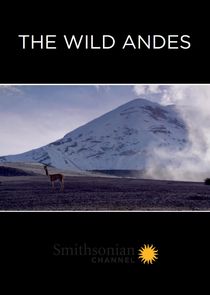 The Wild Andes small logo