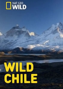 Wild Chile