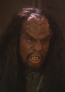 Klingon Alliance Officer
