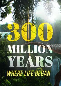 300 Million Years