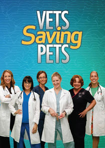 Vets Saving Pets small logo
