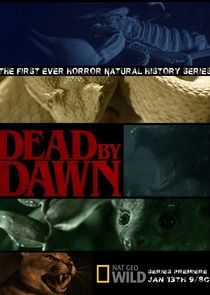 Dead by Dawn small logo