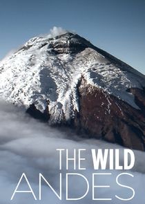 The Wild Andes poszter
