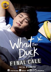 What the Duck The Series