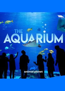 The Aquarium small logo