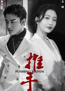 Pushing Hands — кадр