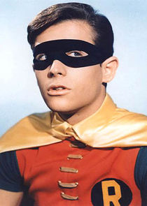 Robin the Boy Wonder / Dick Grayson