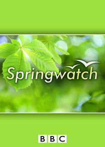 Springwatch — кадр