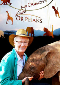 Paul O'Grady's Animal Orphans