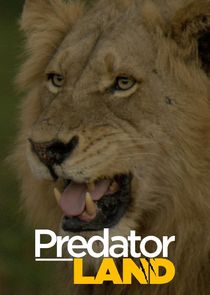 Predator Land