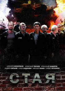 Стая — кадр