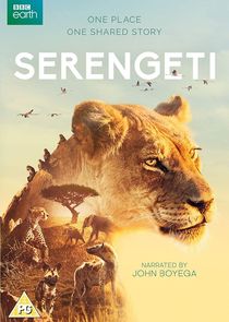 Serengeti poszter