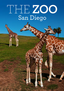 The Zoo: San Diego small logo
