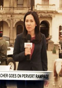 TV News Reporter