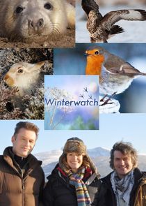 Winterwatch