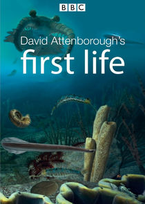 David Attenborough's First Life poszter
