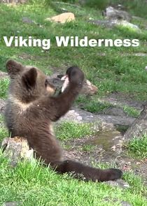 Viking Wilderness