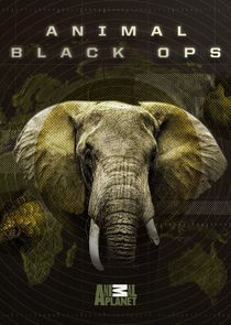 Animal Black Ops