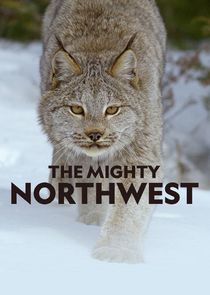 The Mighty Northwest — кадр