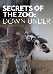 Secrets of the Zoo: Down Under small logo