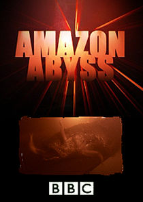 Amazon Abyss
