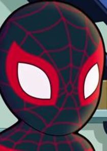 Miles Morales / Spider-Man