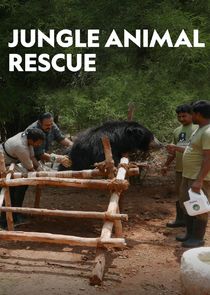 Jungle Animal Rescue small logo