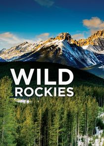 Wild Rockies
