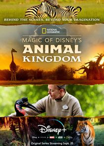 Magic of Disney's Animal Kingdom poszter