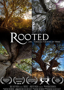 Rooted small logo