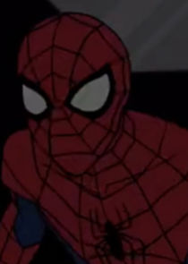 Reflection Spider-Man