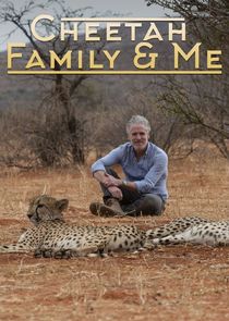 Cheetah Family & Me