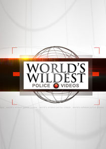 World's Wildest Police Videos