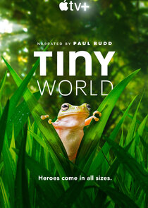 Tiny World poszter