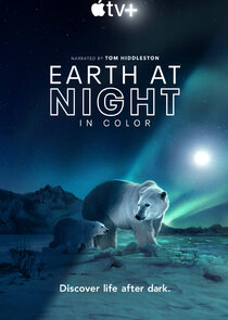 Earth at Night in Color poszter