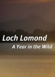 A Year in the Wild — кадр