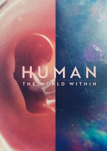 Human: The World Within poszter