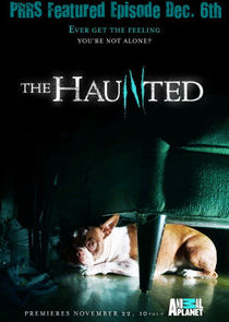 The Haunted