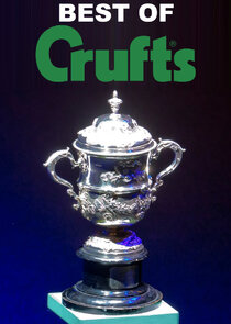 Best of Crufts