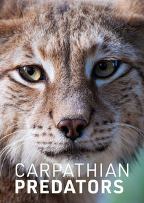 Carpathian Predators — кадр