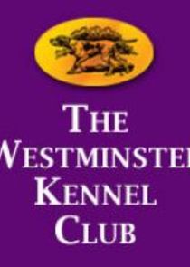 Westminster Kennel Club Dog Show