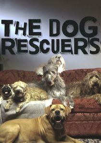 Watch Series - The Dog Rescuers with Alan Davies