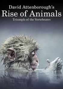 David Attenborough's Rise of Animals
