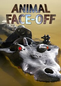 Animal Face-Off