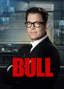 Watch Series - Bull
