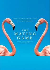 The Mating Game — кадр