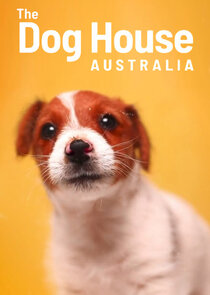 The Dog House Australia poszter